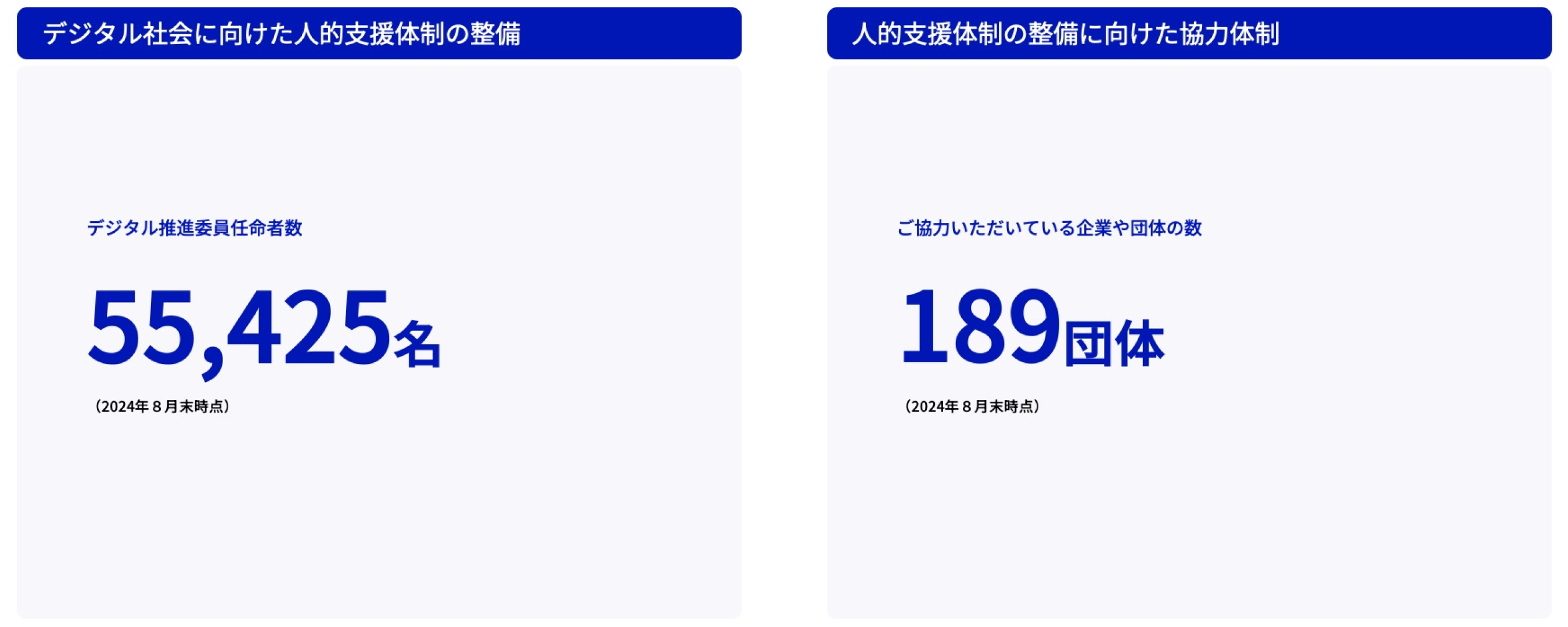 デジタル社会に向けた人的支援体制の整備、人的支援体制の整備に向けた協力体制の実績を記載した図。