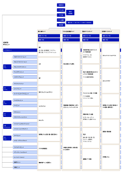 デジタル庁の組織体制。内閣総理大臣をトップに、デジタル大臣、デジタル監、デジタル審議官が続き、デジタル審議官の下に4つのグループが配置されている。デジタル大臣とデジタル監の間に副大臣・大臣政務官が入り、デジタル審議官と4つのグループの間に顧問、参与が入る。また、デジタル監にはこれらと別にシニアエキスパート、Chief Product Officer、Chief Technology Officer、Chief Architect、Chief Corporate Officer、Chief Information Security Officer、ファクト＆データユニット、パブリックリレーションズユニット、ヒューマンリソースユニット、制作専門ユニット、DX推進ユニットがぶら下がる形で配置され、シニアエキスパートはすべてのグループを包括する形で配置されている。