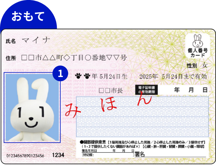 マイナンバーカード表面のイメージ。顔写真に1の番号が割振りされている。