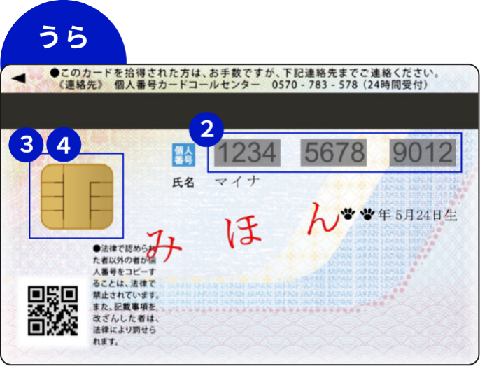 マイナンバーカード裏面のイメージ。カード番号に2、ICチップに3、4の番号が割振りされている。