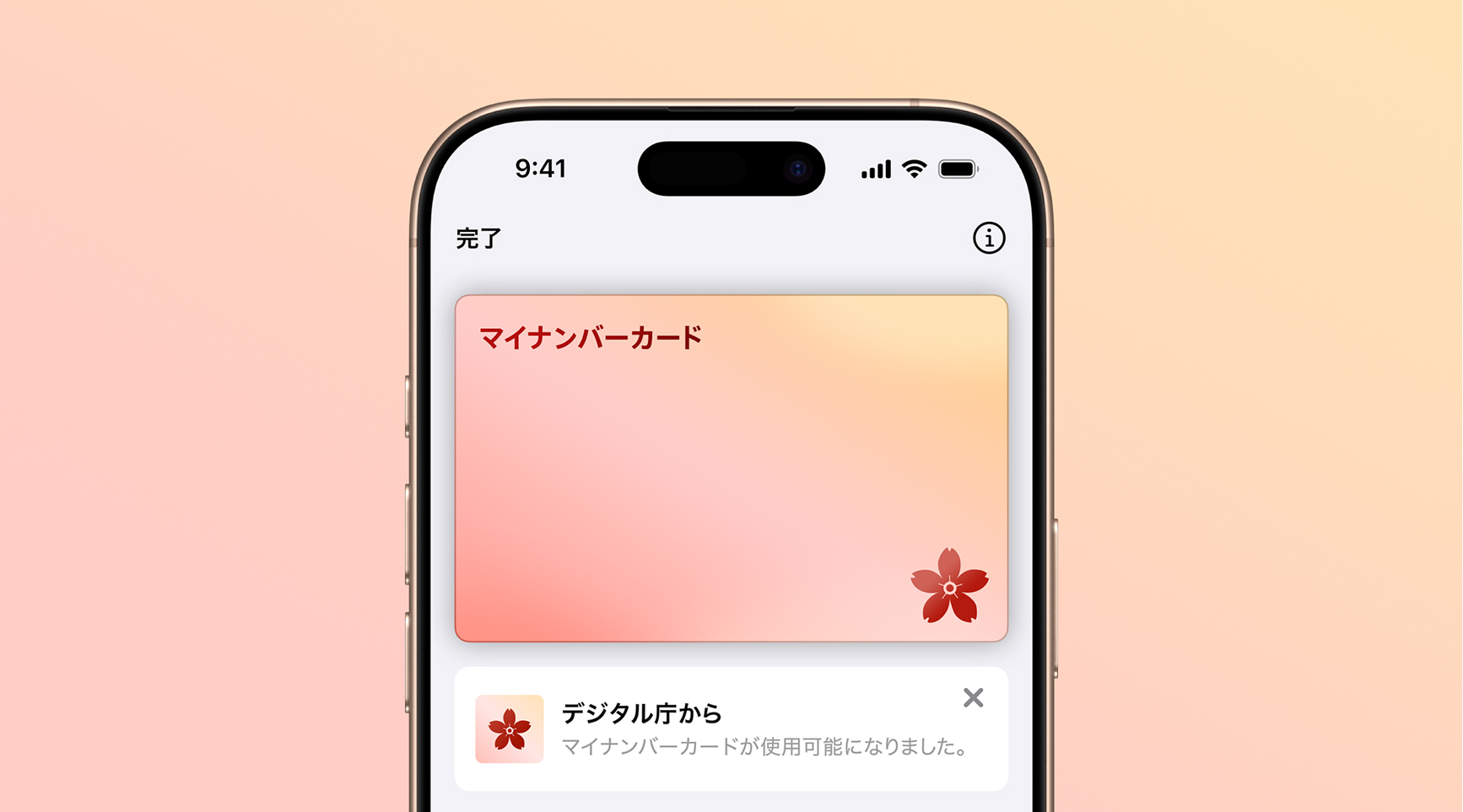 「iPhoneのマイナンバーカード」の画像。iPhoneの画面のなかに、桜色のマイナンバーカードのイメージが表示されている。カードの左上には「マイナンバーカード」の文字が書かれ、右下には桜のイラストが描かれている。